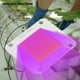thumbnail image 3 of Lámpara de cultivo de chips LED COB luz de cultivo de plantas de interior de 50 W para promover el crecimiento de plántulas Proyectores de plantas que promueven las luces de ANGGREK Otros, 3 of 8