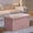 Jelly Pink, variant on LEDREM 30" Foldable Storage Ottoman Bench, 660lb Capacity, 3-in-1 Multi-Functional, Removable Divider, Dark Gray