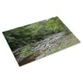 thumbnail image 3 of Print: Rock Creek Park, NW, Washington, D.C., 2010, 3 of 4