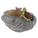 thumbnail image 1 of Animales Macetas Suculentas para Balcón Paisaje Escritorio en Casa Macetas Decorativas 15 Diseño de Animales Encantadores Diferentes Tortuga Baoblaze Plantador de resina suculenta, 1 of 8