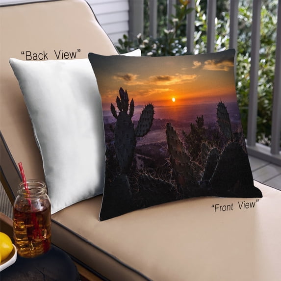 Ahgly Company Plants Cactus Outdoor Throw Pillow, 18 inch by 18 inch