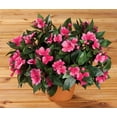 thumbnail image 2 of OakRidge Silk Impatiens Bush – Artificial Flowers Outdoor Décor – Dark Pink, 18” High, 2 of 3