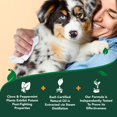 thumbnail image 3 of Toallitas Antipulgas y Garrapatas Vet's Best para Perros, Paquete de 50, 3 of 9