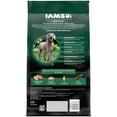 thumbnail image 3 of Iams Advanced Health Skin & Coat Chicken And Salmon Recipe Adult Dry Dog Food, 6 Lb Bag, 3 of 16