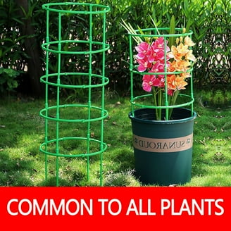 Titan Peony Supports Large Set of 2 - Walmart.com