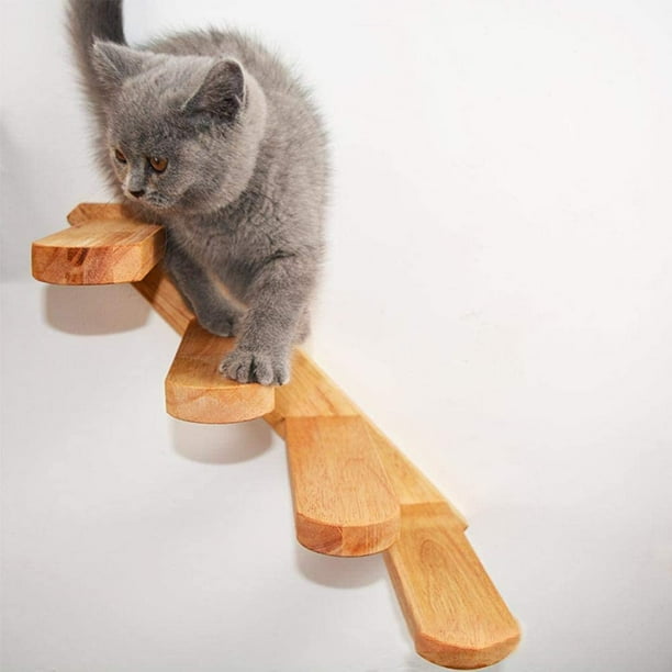 Cat top stairs walmart