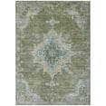 thumbnail image 2 of Addison Rugs Chantille Indoor/Outdoor Traditional Global Basil Machine Washable Rectangle Rug, 9' x 12', 2 of 8