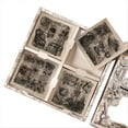 thumbnail image 1 of 100 Hojas de Pegatinas Vintage para Álbumes de Recortes de Flores, Plantas y Mariposas para Suministros de Diario Basura, y Negro Extremo, 1 of 7