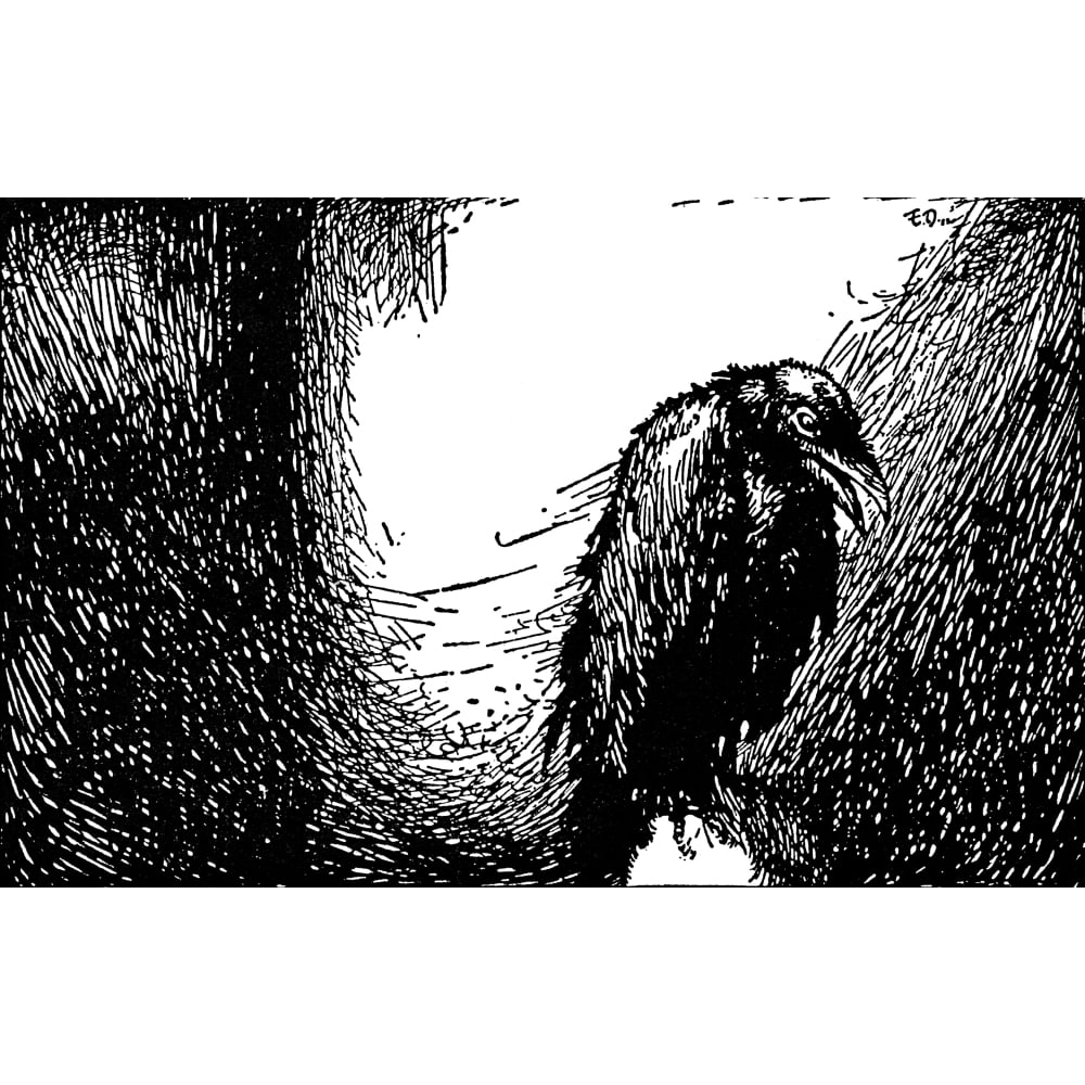 Poe The Raven 1845 Nillustration By Edmund Dulac (18821953) For A 1912