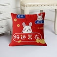 thumbnail image 5 of Ludlz Square Soft Detachable Lightweight Decorative Pillowcase Cartoon Rabbit Pattern New Year Cushion Cover Home Decor, 5 of 8