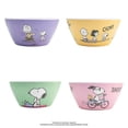 thumbnail image 1 of Tazón Cónico Prichos Snoopy de Melamina Varios Diseños 1 Pieza, 1 of 4