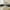 Dark Grey, variant on MUZZ Loveseat Sofa, 71" Modular Upholstered Corduroy Couch, Love Seat Couches for Living Room, Bedroom, Small Space, Beige
