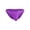 Orchid, variant on Fashion Style 99928 Bikini Color Orchid Size L/XL