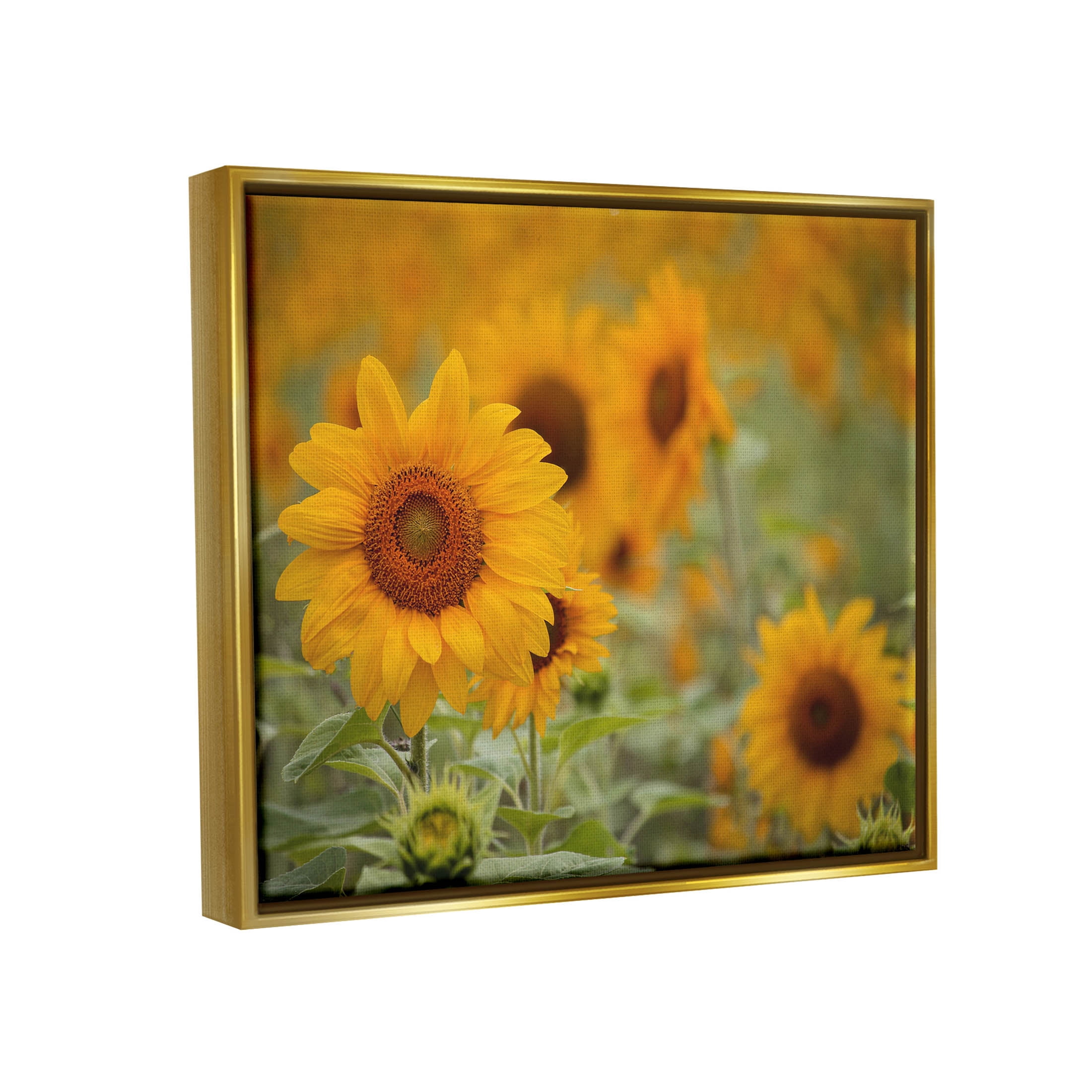 Sunflower Field Nature Blooms Botanical & Floral Photograph Metallic Gold Framed Art Print Wall Art