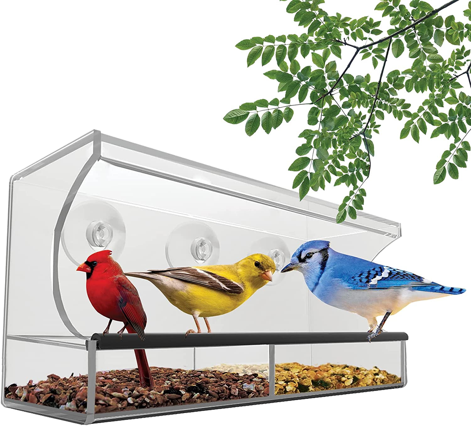 Nature's Envoy Window Bird Feeder – Clear View for Birdwatching Strong Suction Cups for Outside Acrylic Outdoor Feeder for Wild Birds Slide Out Seed Tray w/ Drain Holes for Easy Refill & Clean 