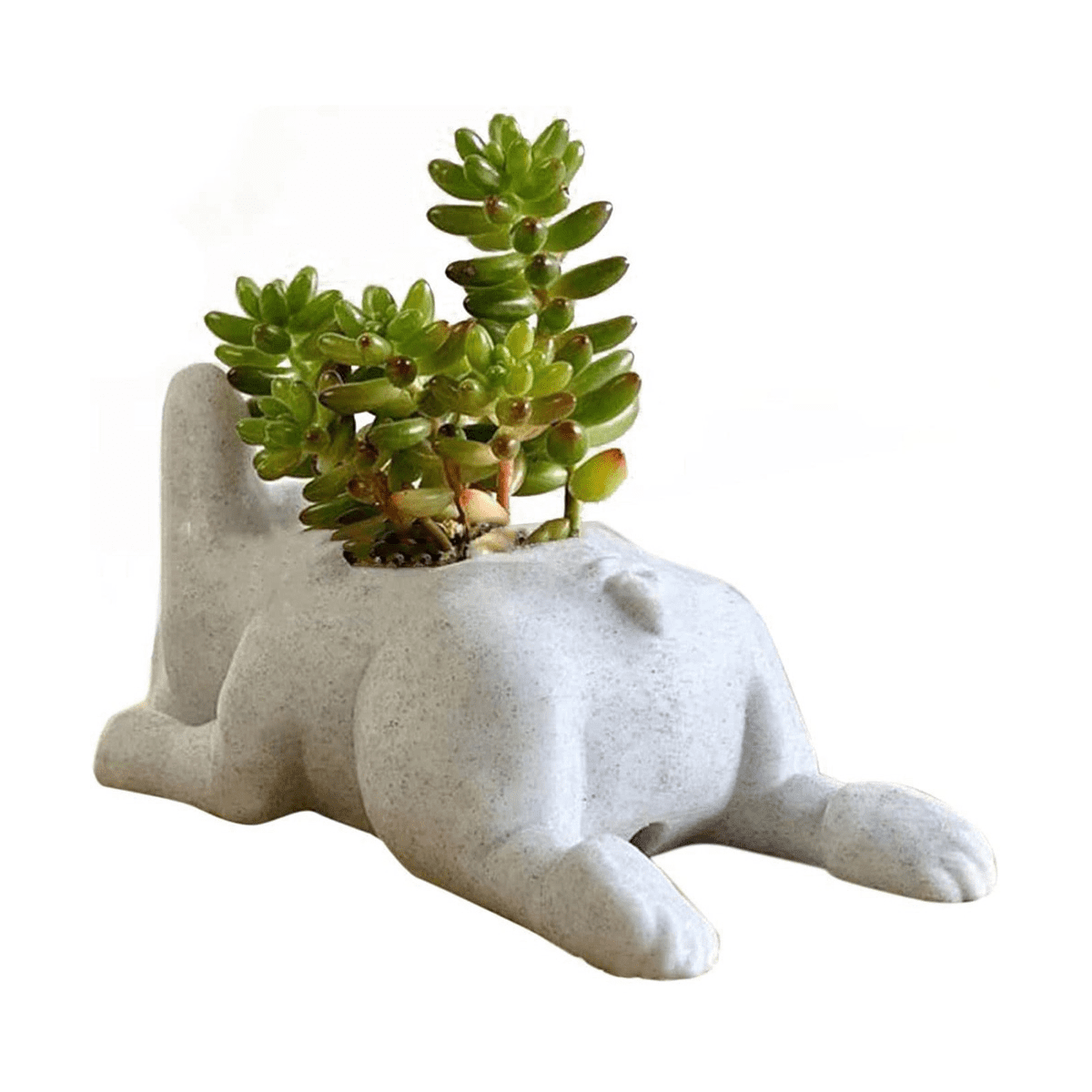 Succulent Planter,Bulldog Shape Cute Bonsai Flower Pots Garden Office ...