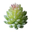 thumbnail image 3 of Coofit 16PCS Fake Succulent Decorative Unpotted Artificial Succulents Fake Plant, 3 of 10
