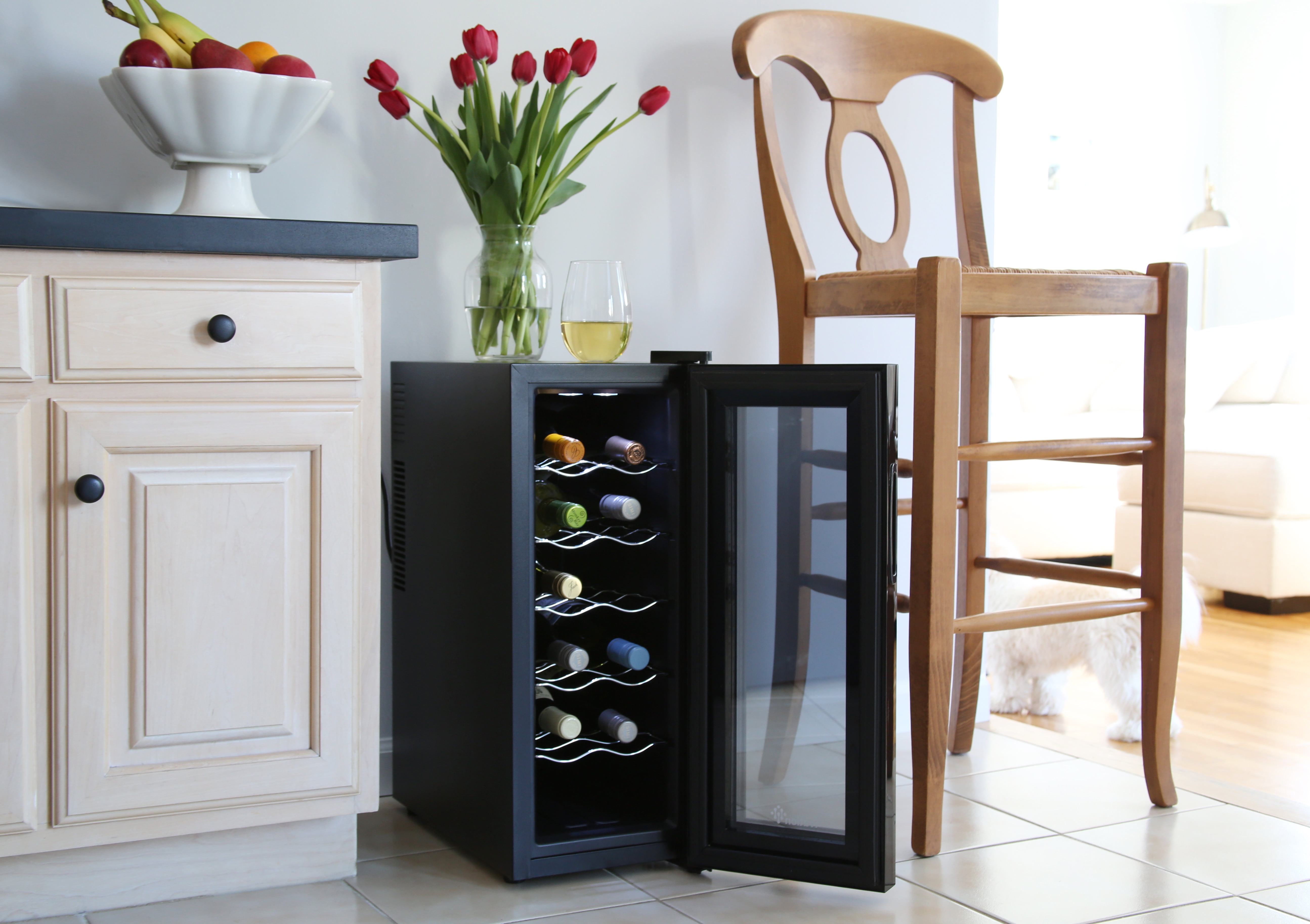 IVATION 12 Bottle Single Door Thermoelectric Wine Cooler