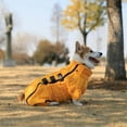 thumbnail image 5 of HQREA Waterproof Dog Snow Jacket Reflective Dachshund Warm Dog Snowsuit Coat for Dachshund, 5 of 6
