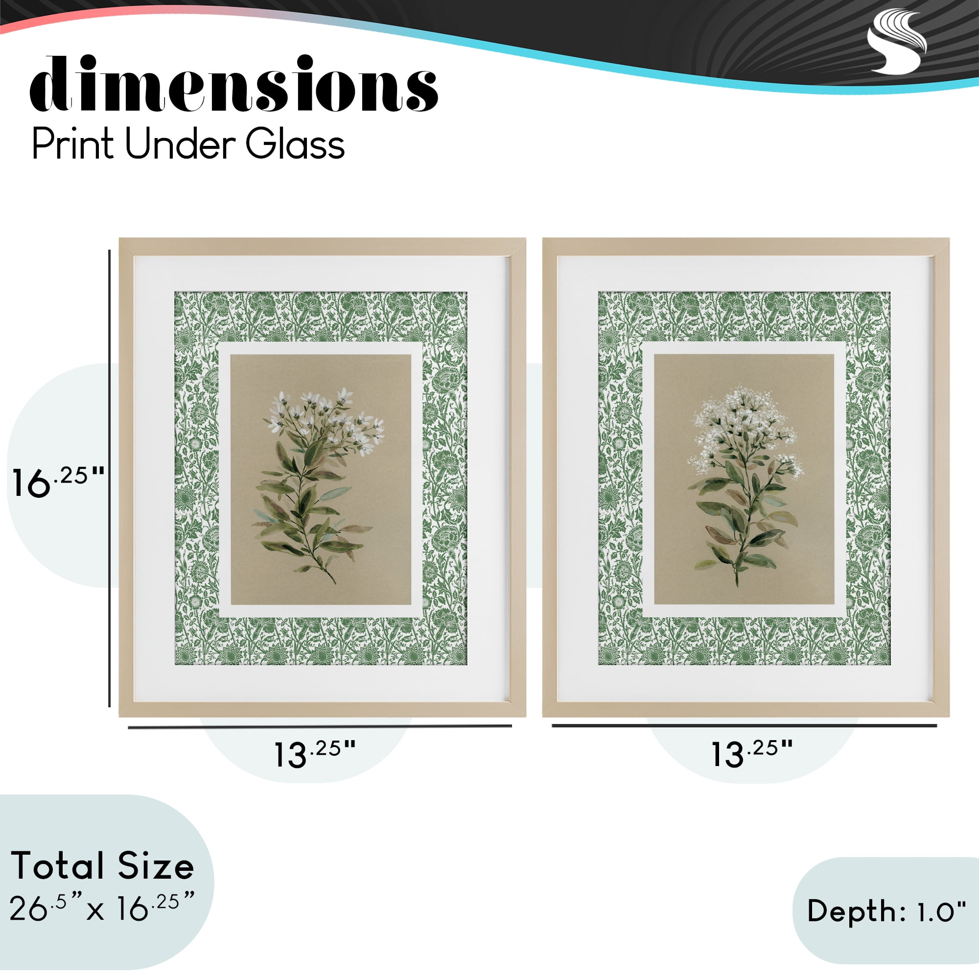 Stupell Industries Green Botanical Patterned Florals 2 Piece Birch Framed Print Under Glass Set, design by Carol Robinson