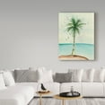 thumbnail image 3 of Trademark Fine Art 'African Oil Palm II' Canvas Art by Chris Paschke, 3 of 3