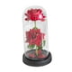 thumbnail image 3 of Regalos de San Valentín para ella: flores preservadas iluminadas, decoración creativa para el hogar rojo con base negra, 3 of 9
