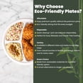 thumbnail image 5 of FPN Disposable Plates 3 Compartment 10 in, 125-Pack, Compostable, Microwave-Safe for every Events parties gathering, 5 of 7