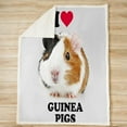 thumbnail image 3 of Kids Guinea Pig Sherpa Blanket Cute Cavy Fleece Throw Blanket for Children Boys Girls Cartoon Lovely Pet Plush Blanket Chic Animal Ultra Soft Fuzzy Blanket for Sofa Bed Couch,Twin 60x80 Inch, 3 of 6