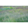 thumbnail image 2 of Gulin, Sylvia 32x21 Gold Ornate Wood Framed with Double Matting Museum Art Print Titled - USA-Washington State-Palouse-Eastern Washington Green grass field, 2 of 4