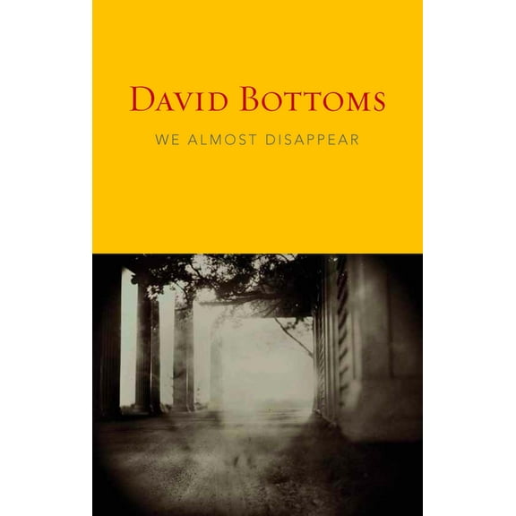 We Almost Disappear, (Paperback)