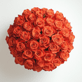thumbnail image 3 of Globalrose Fresh Cut Flowers 50 Orange Roses, Beautiful Bright Blooms, 3 of 6