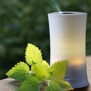Hot Sale LED Essential Oil Aroma Diffuser Humidifier Air Aromatherapy Atomizer Decor