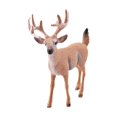 thumbnail image 1 of Figura de Animal Macarena Estatua Decorativa Pequeña PVC 95 x 4 x 10 cm, 1 of 8