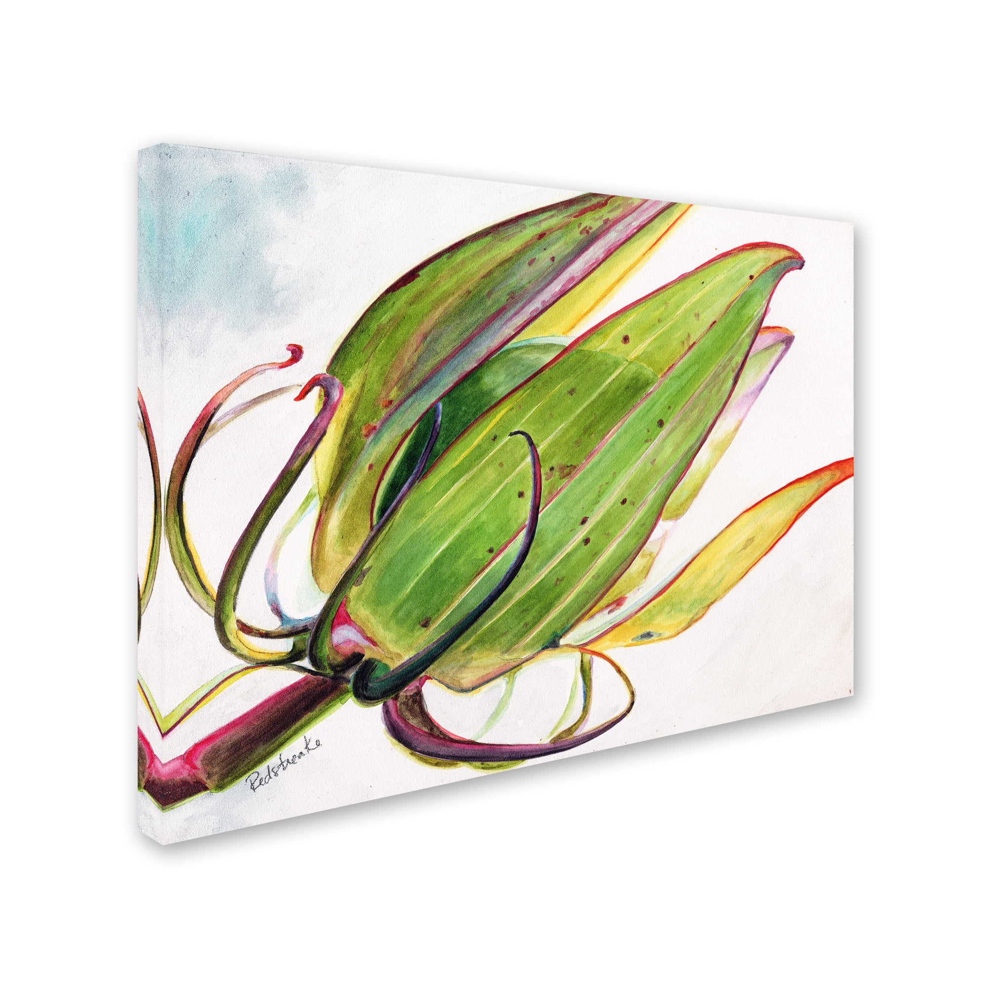 Trademark Fine Art "Flower Pod" Canvas Art by Jennifer Redstreake