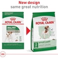 thumbnail image 2 of Royal Canin Size Health Nutrition Small Breed Adult Dry Dog Food 30 lbs., 2 of 2