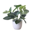 DGROEE Faux Plants Potted, Artificial Plants in Pot Fake Green Plant