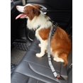thumbnail image 1 of 1pc Stretchable Pet Safety Belt, 1 of 5