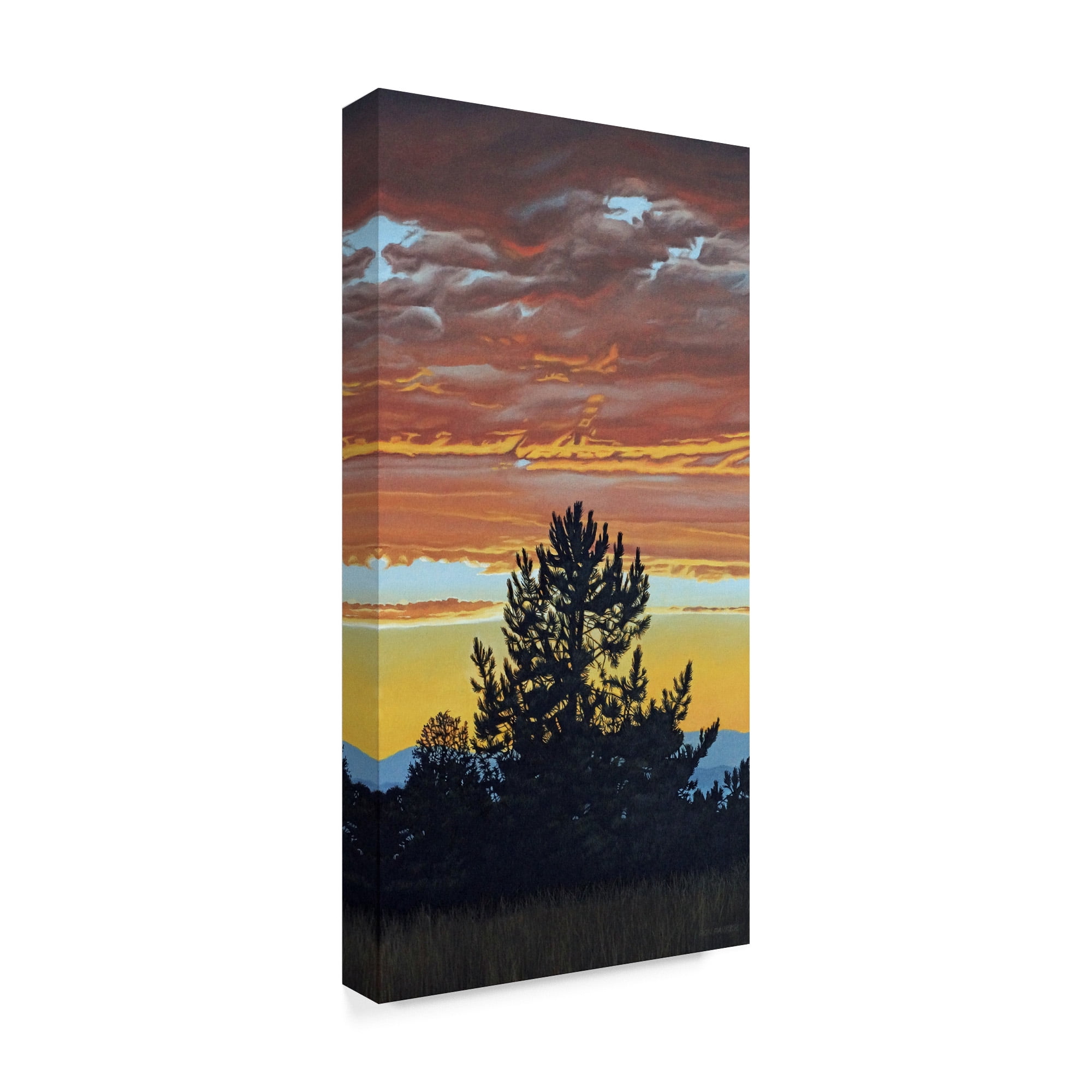 Trademark Fine Art 'Evening Pine' Canvas Art by Ron Parker