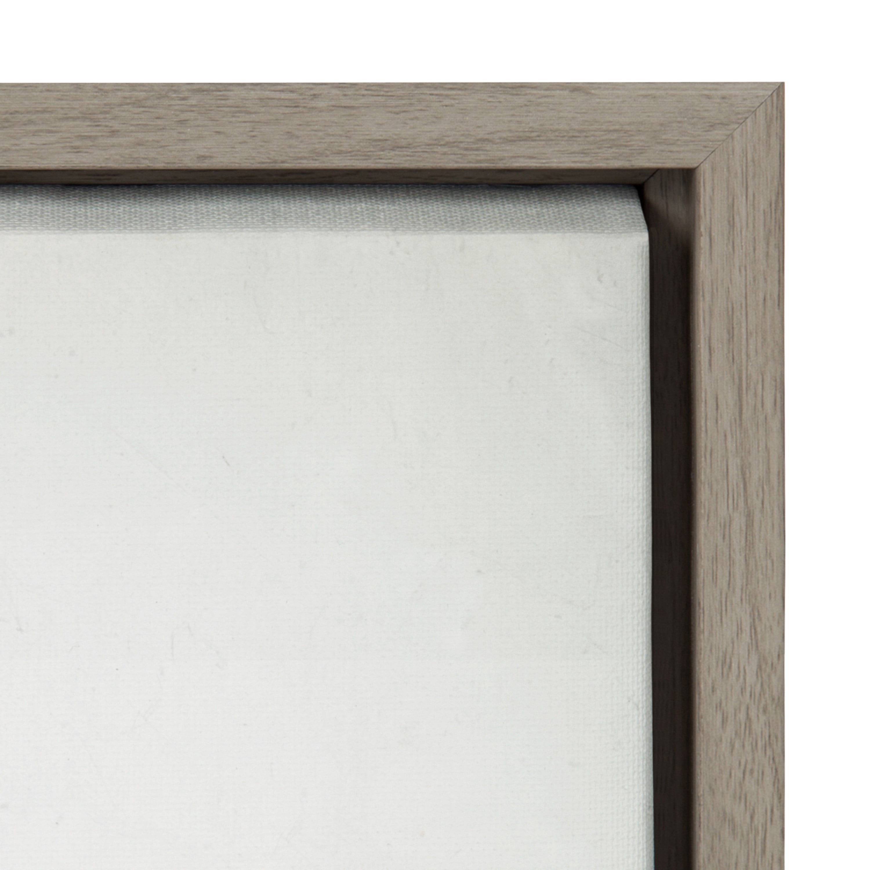 Kate and Laurel Sylvie Succulent 5 Framed Canvas by F2 Images, 18x24 Gray