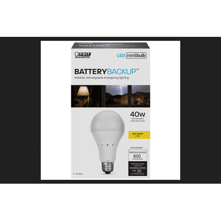 Led Feit A21 40w Eq Sw