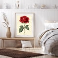 thumbnail image 6 of Diamond Art Kits for Adults - 5d Elegant Red Rose Illustration Diamond Painting for Adults, Diamond Art for Adults Beginners, Diamond Painting Kits for Adults for Home Wall Decor, 6 of 7