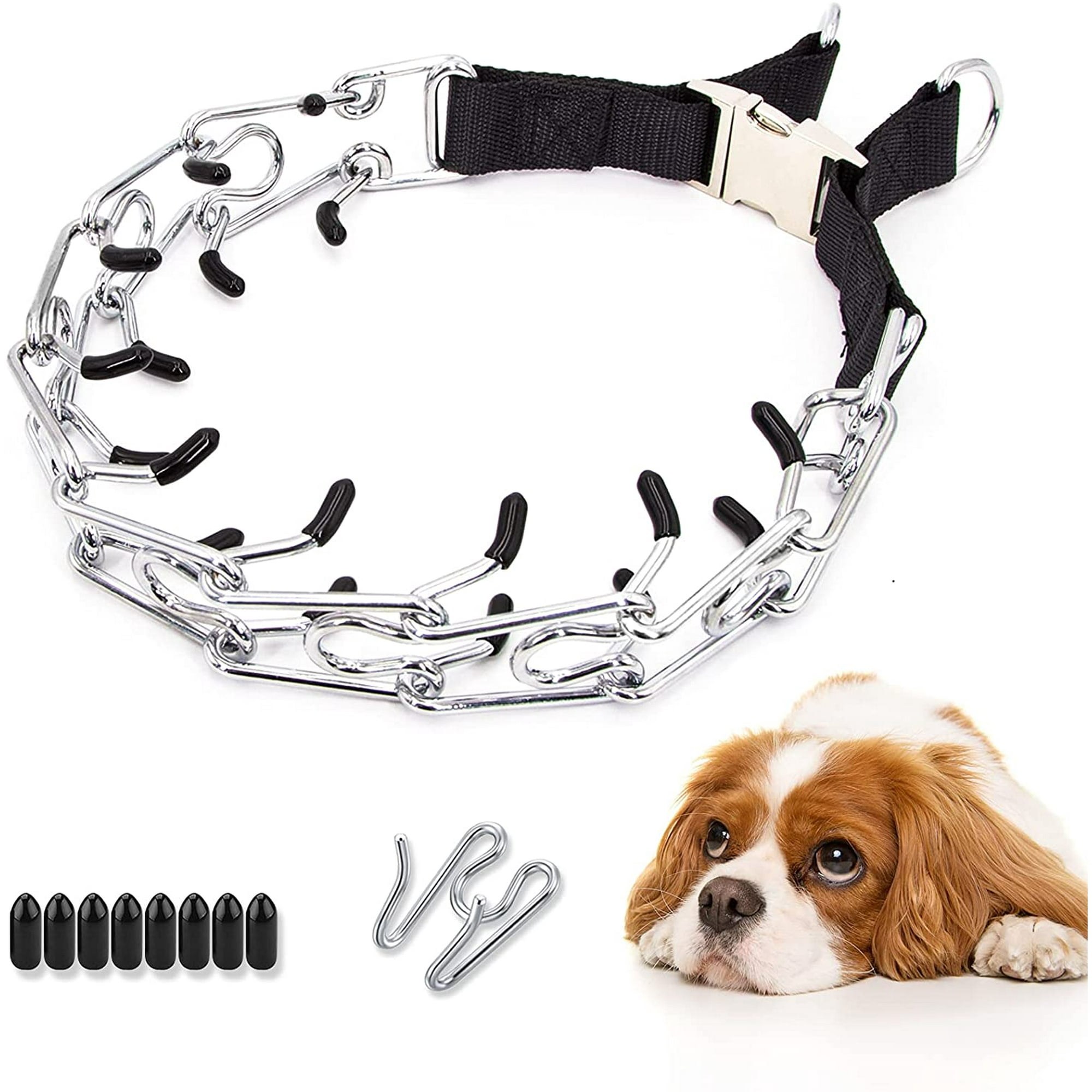 How To Train A Dog To Release