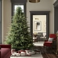 thumbnail image 3 of Vickerman A110376LEDCC 7.5 ft. x 64 in. Itasca Fraser Fir 3 mm 750CC Christmas Tree, 3 of 11