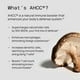 thumbnail image 4 of Complemente Quality of Life Immune Support AHCC Rx 60 cápsulas blandas, 4 of 7