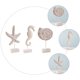 thumbnail image 5 of 1 set / 3pcs de madera marhehorse decoración estrella decoración conch decoración mesa de mesa HOMEMAXS mx10085057, 5 of 5