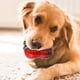 thumbnail image 4 of Juguetes para perros con temática navideña, pelotas indestructibles para perros, pelotas masticables de alta elasticidad y juguete interactivo de entrenamiento para perros, juguete de plástico., 4 of 6