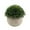 A, variant on 1 Pack 12inch Mini Artificial Potted Fake Plants for Home Decor, Indoor Small Faux Topiaries for Room, Office Desk, Bathroom Greenery Decoration, Perfect for Home Decorative Gift