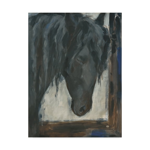 Trademark Fine Art 'Hilandero' Canvas Art by Solveiga