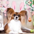 thumbnail image 4 of Dalrosia 3PCS Easter Dog Headbands Easter Bunny Rabbit Ear Headwear Cute Carrot Hair Band Adjustable Pet Easter Party Costume Accessories for Dog Cat Puppy, 4 of 5