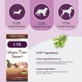 thumbnail image 5 of Amber NaturalZ UTR | Urinary Tract & Normal Bladder Support for Pets 1oz, 5 of 9